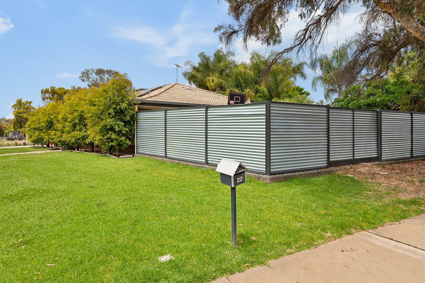 Street-facing fence and garden